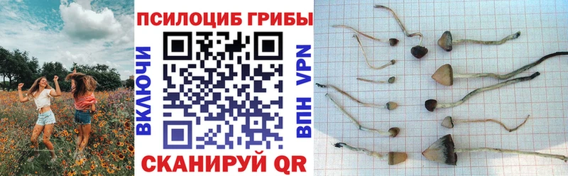 Галлюциногенные грибы MAGIC MUSHROOMS  Нестеровская 